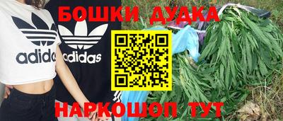 каннабис Кингисепп