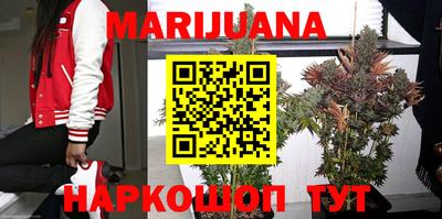 спайс Кинель