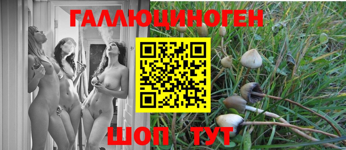 Галлюциногенные грибы GOLDEN TEACHER  Вход с VPN  Барабинск 